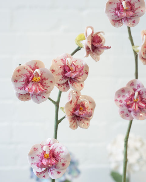 SAMUEL MAZY GLAZED WHITE & PINK PORCELAIN ORCHID WITH BRONZE FAUX BOIS POT