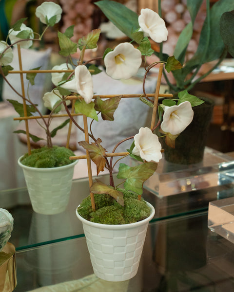 SAMUEL MAZY WHITE BISCUIT PORCELAIN MORNING GLORY WITH TRELLIS IN A LATTICE POT