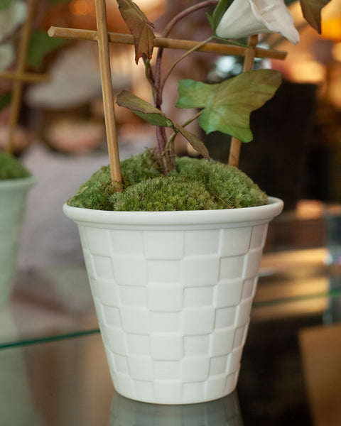 SAMUEL MAZY WHITE BISCUIT PORCELAIN MORNING GLORY WITH TRELLIS IN A LATTICE POT