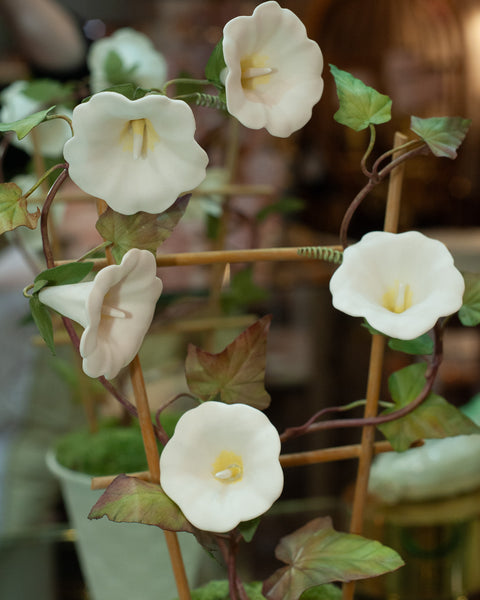 SAMUEL MAZY WHITE BISCUIT PORCELAIN MORNING GLORY WITH TRELLIS IN A LATTICE POT