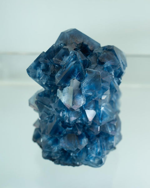 CONTEMPORARY CRYSTALLIZED VASE IN BLUE BY ISAAC MONTÉ, NETHERLANDS