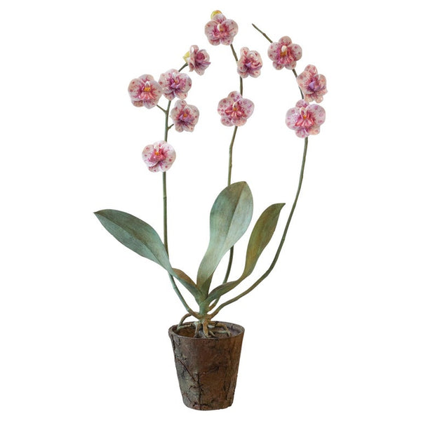 SAMUEL MAZY GLAZED WHITE & PINK PORCELAIN ORCHID WITH BRONZE FAUX BOIS POT