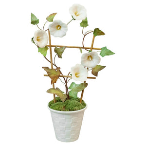 SAMUEL MAZY WHITE BISCUIT PORCELAIN MORNING GLORY WITH TRELLIS IN A LATTICE POT