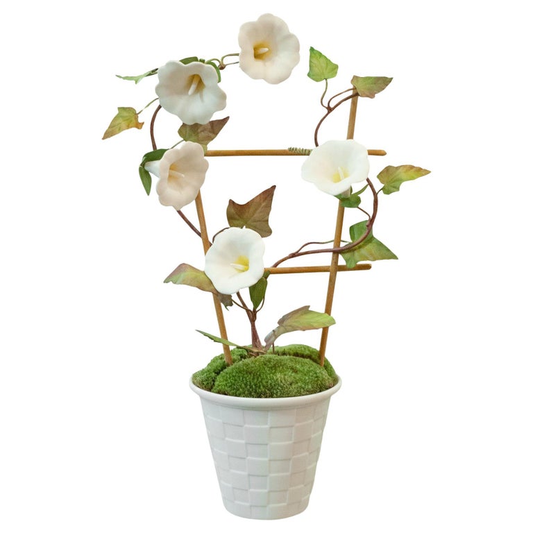 SAMUEL MAZY WHITE BISCUIT PORCELAIN MORNING GLORY WITH TRELLIS IN A LATTICE POT