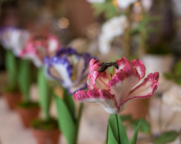 PORCELAIN PURPLE TULIPS