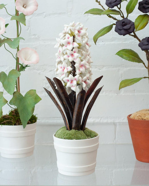 PORCELAIN WHITE AND PINK HYACINTH IN BISCUIT POT